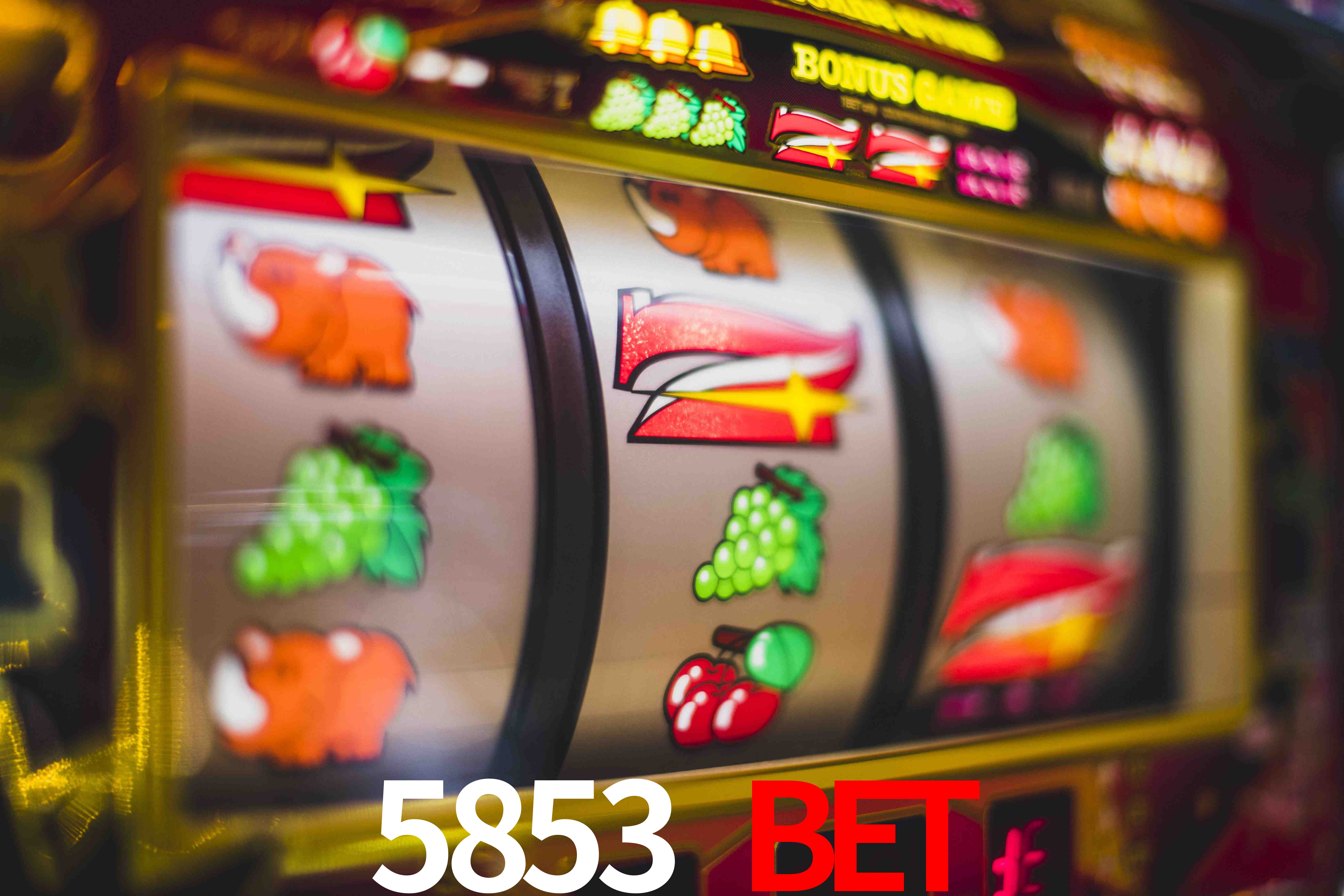 Sports Statistics 5853 bet